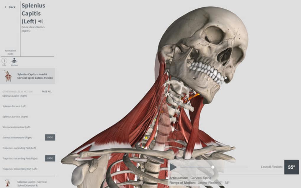 Complete Anatomy Free Download Mac